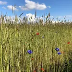 Am Achterwasser Dorf 12 شقة Rankwitz