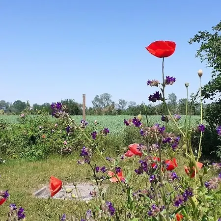 Am Achterwasser Dorf 12 *