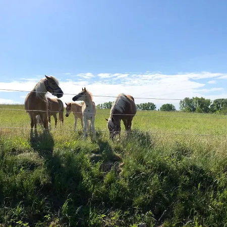 Am Achterwasser Dorf 12 Apartment