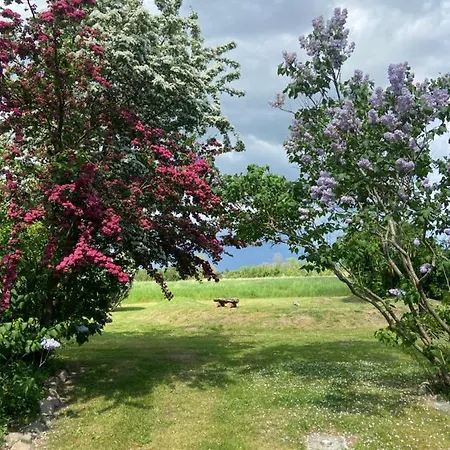 דירה Am Achterwasser Dorf 12 *