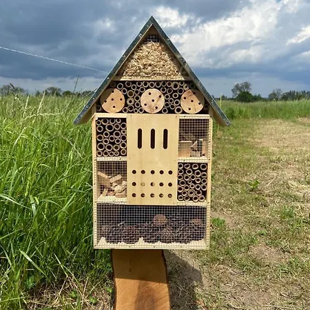 Am Achterwasser Dorf 12 *