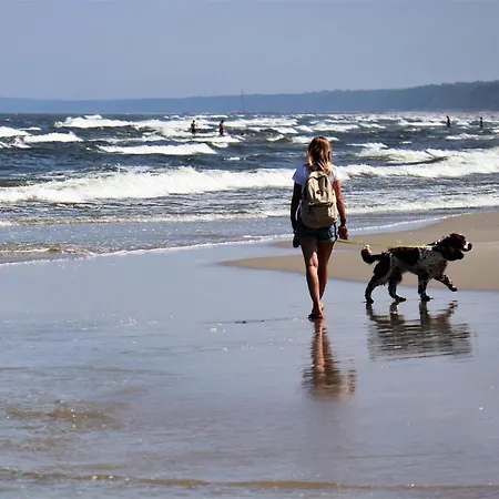 Apartment Am Achterwasser Dorf 12 Rankwitz