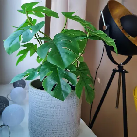 Am Achterwasser Dorf 12 Rankwitz