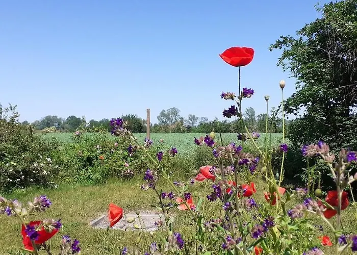 Am Achterwasser Dorf 12 *