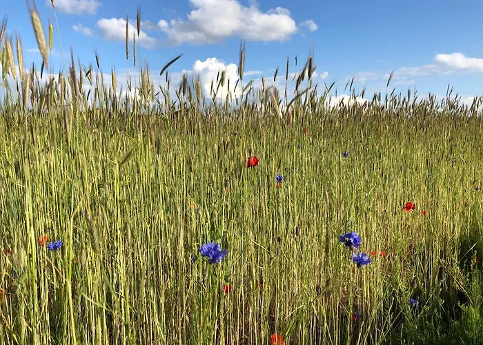 Am Achterwasser Dorf 12 דירה Rankwitz