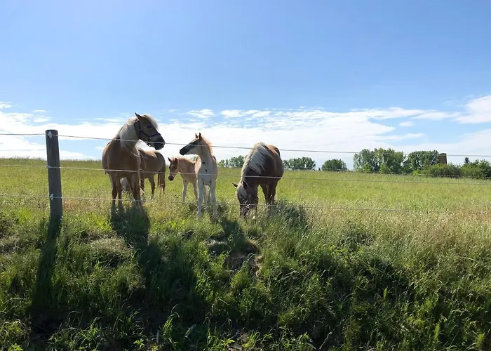 Am Achterwasser Dorf 12 דירה
