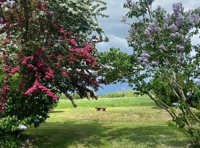 Apartment Am Achterwasser Dorf 12 *