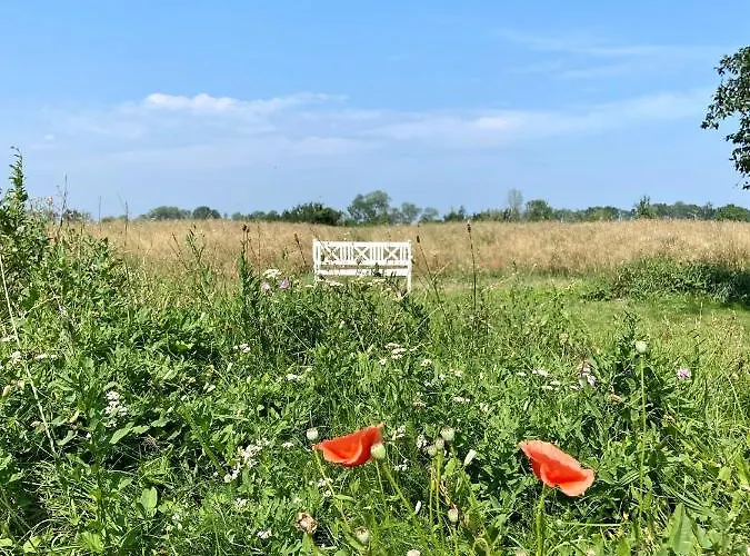 Am Achterwasser Dorf 12 Apartment Rankwitz