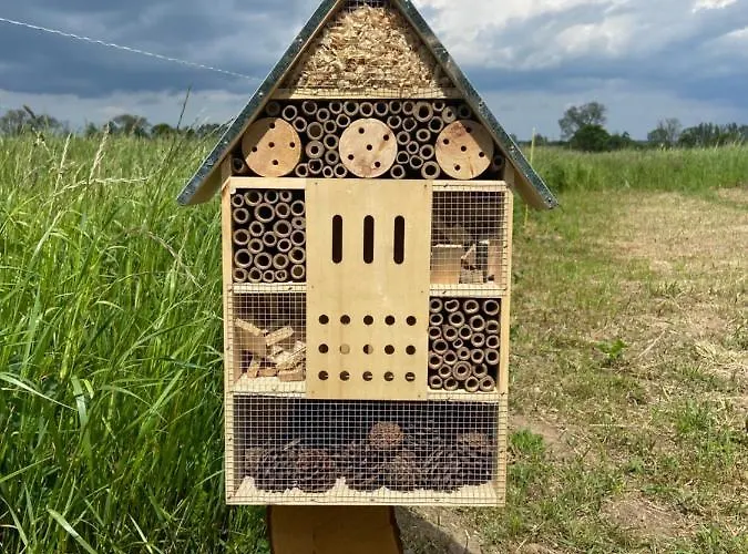Am Achterwasser Dorf 12 *