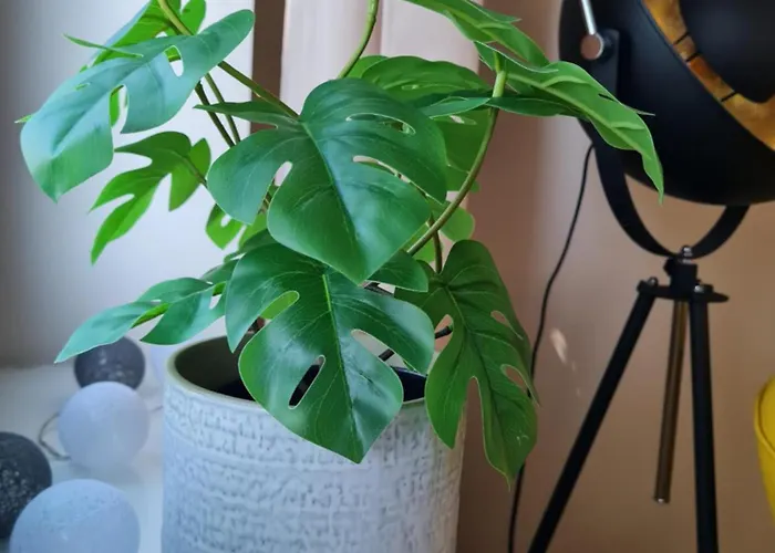 Am Achterwasser Dorf 12 Rankwitz